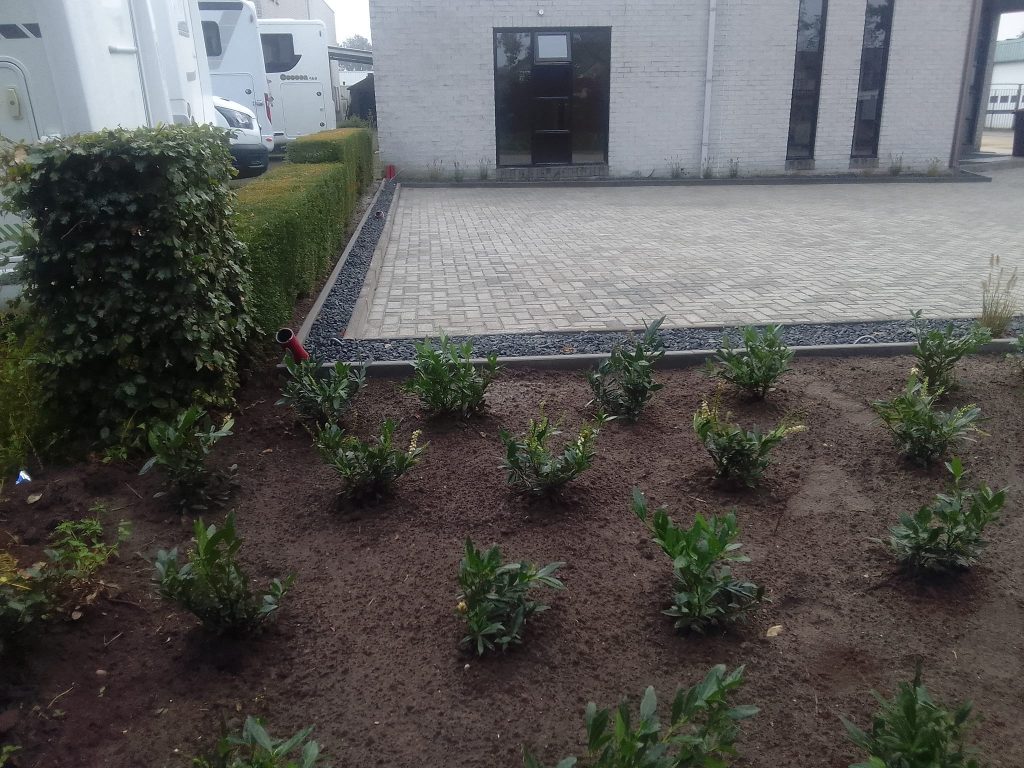 Hoveniersbedrijf benneker, tuinaanleg, tuinonderhoud, bestrating, beplanting en herinrichting,