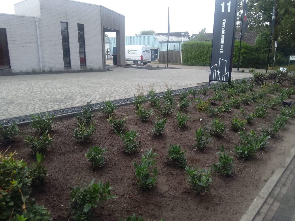 Hoveniersbedrijf benneker, tuinaanleg, tuinonderhoud, bestrating, beplanting en herinrichting,